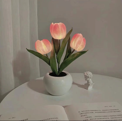 LED Tulip Lamp